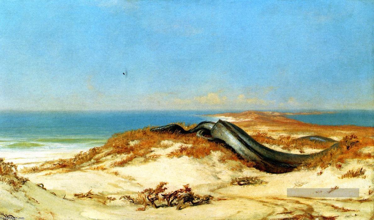 Anneau de la Mer Serpent symbolisme Elihu Vedder Peintures à l'huile